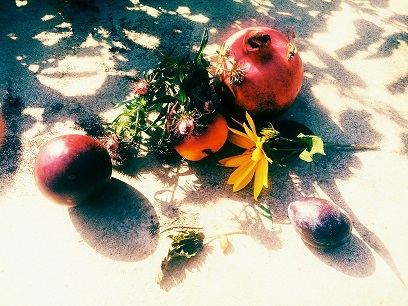 В заброшенном саду