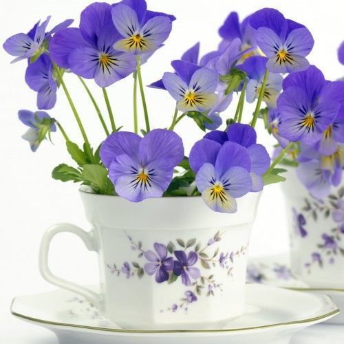 Р. М. Рильке