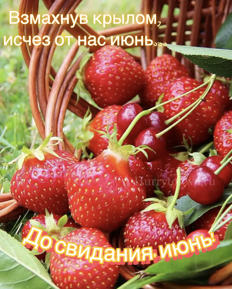 Прощай, июнь!