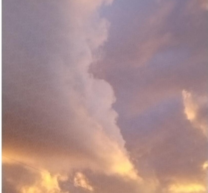 Выстрелом в спину...