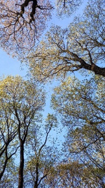 Уснуть с улыбкой на устах...