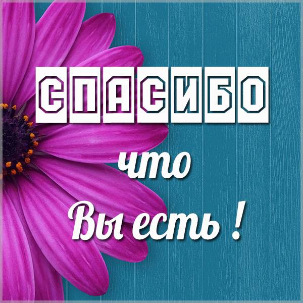 Спасибо поварам!