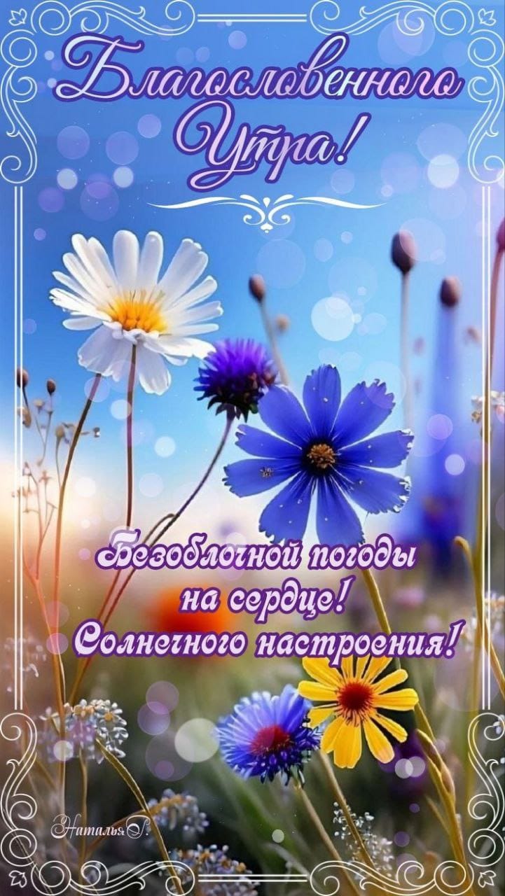 Украсит небо