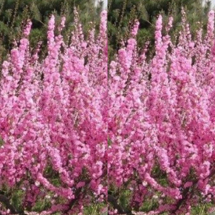 Сила Любви...