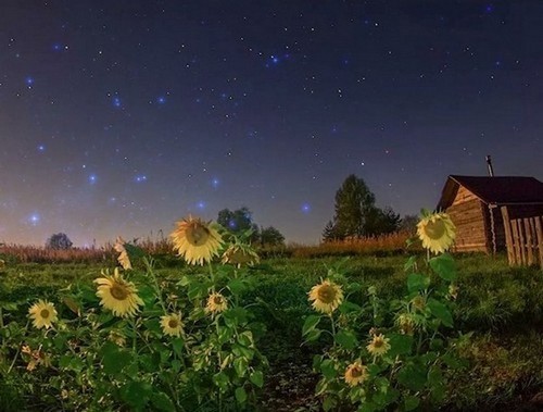 Летние сумерки