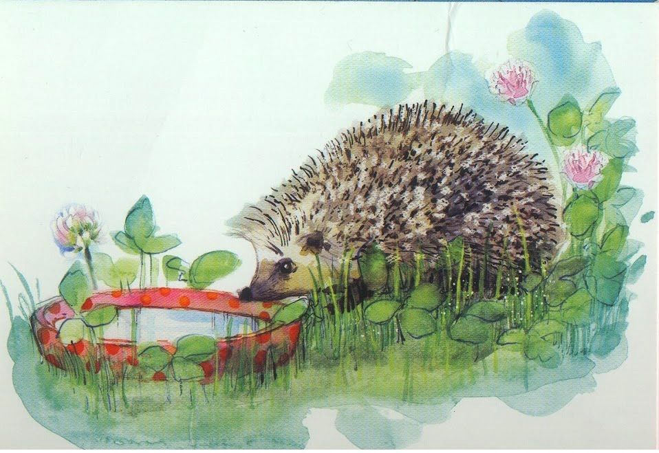 ежиха с ежатами для детей. ежик мультяшный. сумасшедший еж. ежик рисунок для детей. еж живопись.