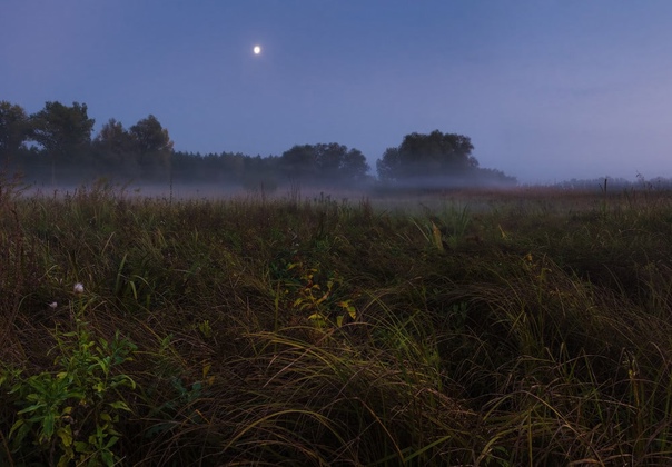 Сто сорок два... (Сара Рубинштейн) / Стихи.ру