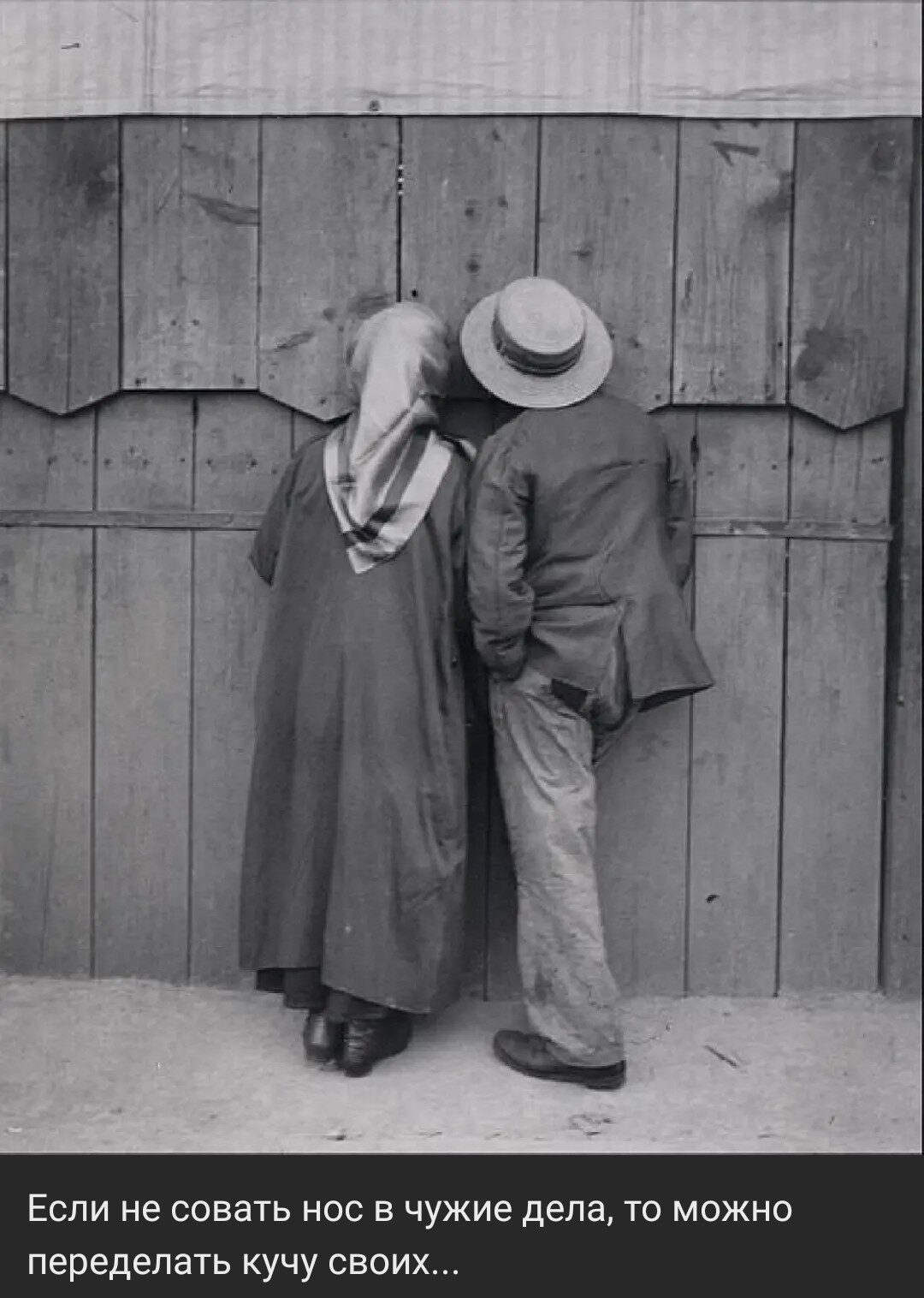 Поэтишкин талант