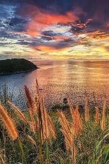 Ох, разоспалось солнце утром ранним