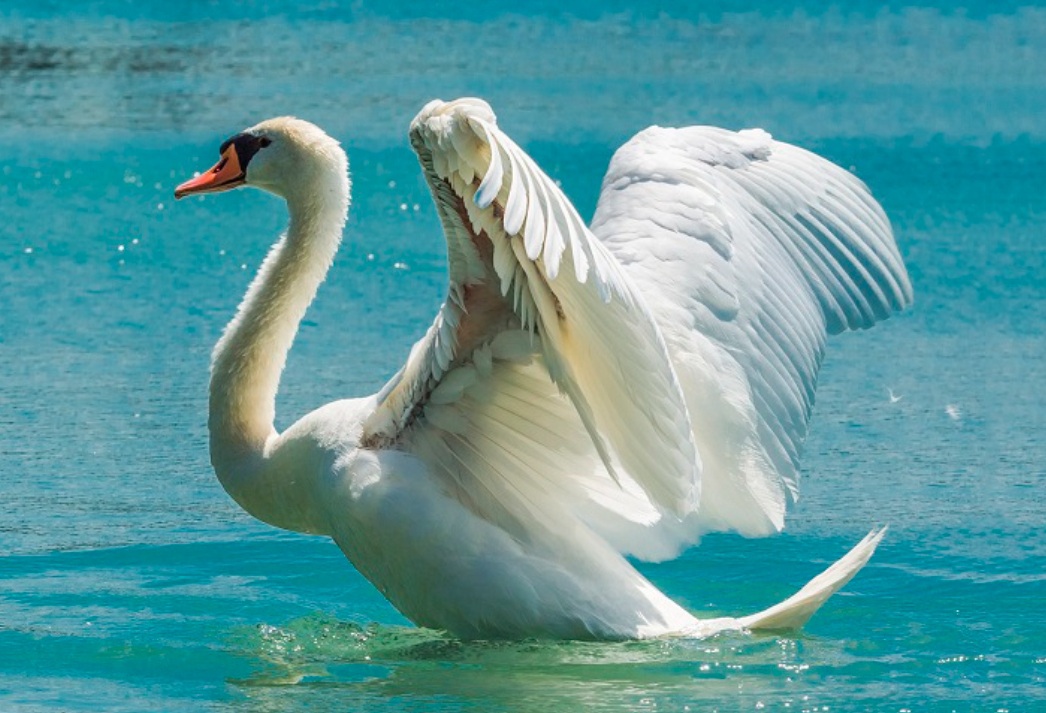 Отклик в моменте - дни пробегают...