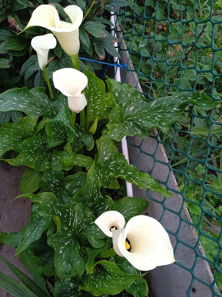 Свернулся летний день