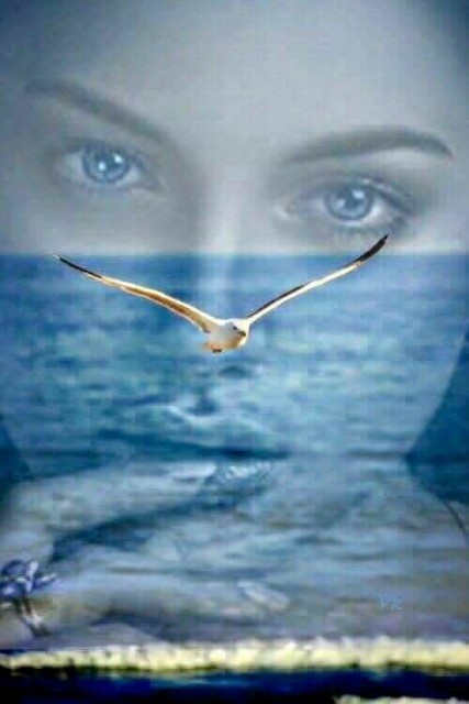 Мне б выспаться под шум берёз