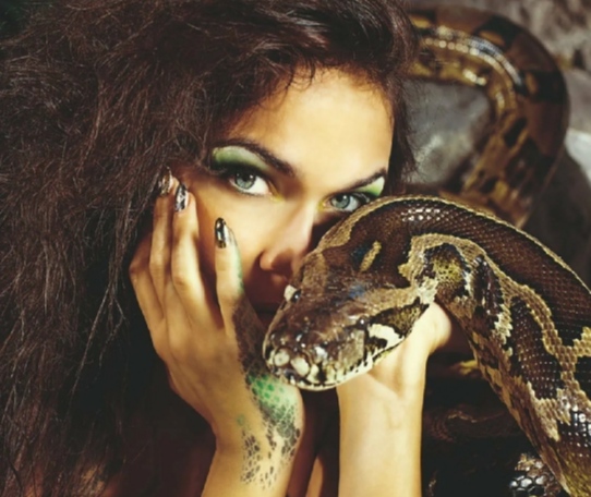 Кролики и удав