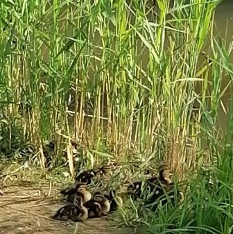 Земная красота