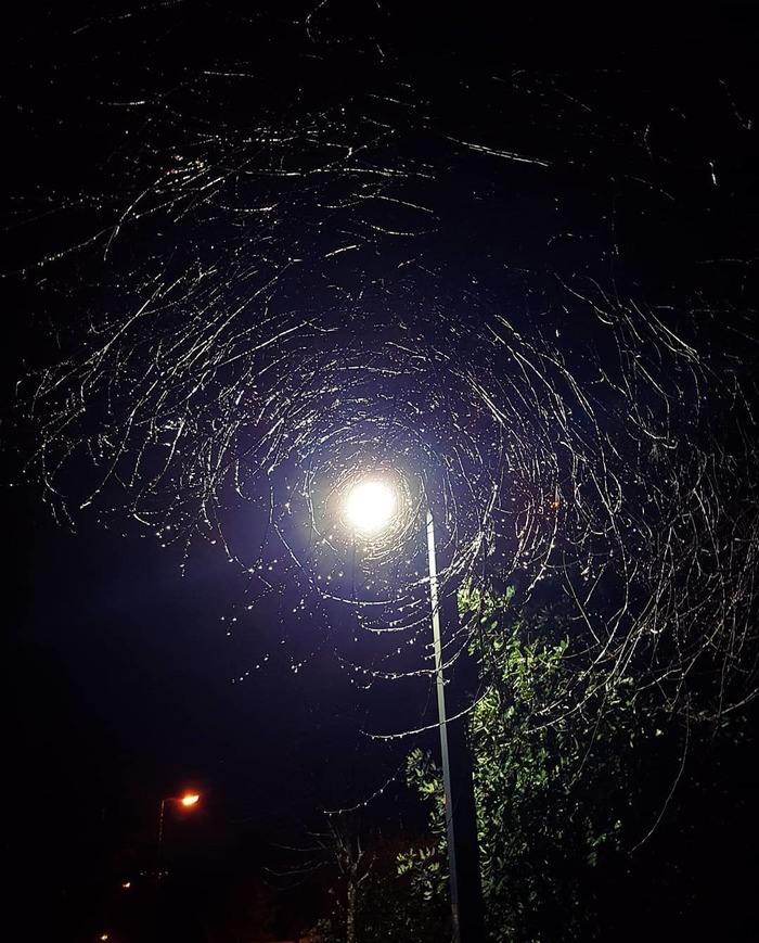 Ореолы фонарей. Световые круги вокруг источника света. Эффект гало астигматизм. Эффект гало астигматизм. Ореол вокруг фонаря.