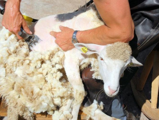 Растрёпанные мысли 49