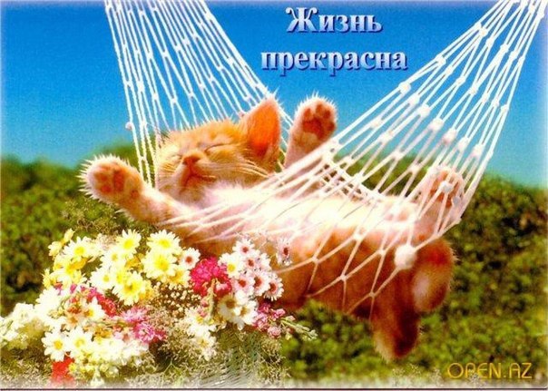 Середина лета