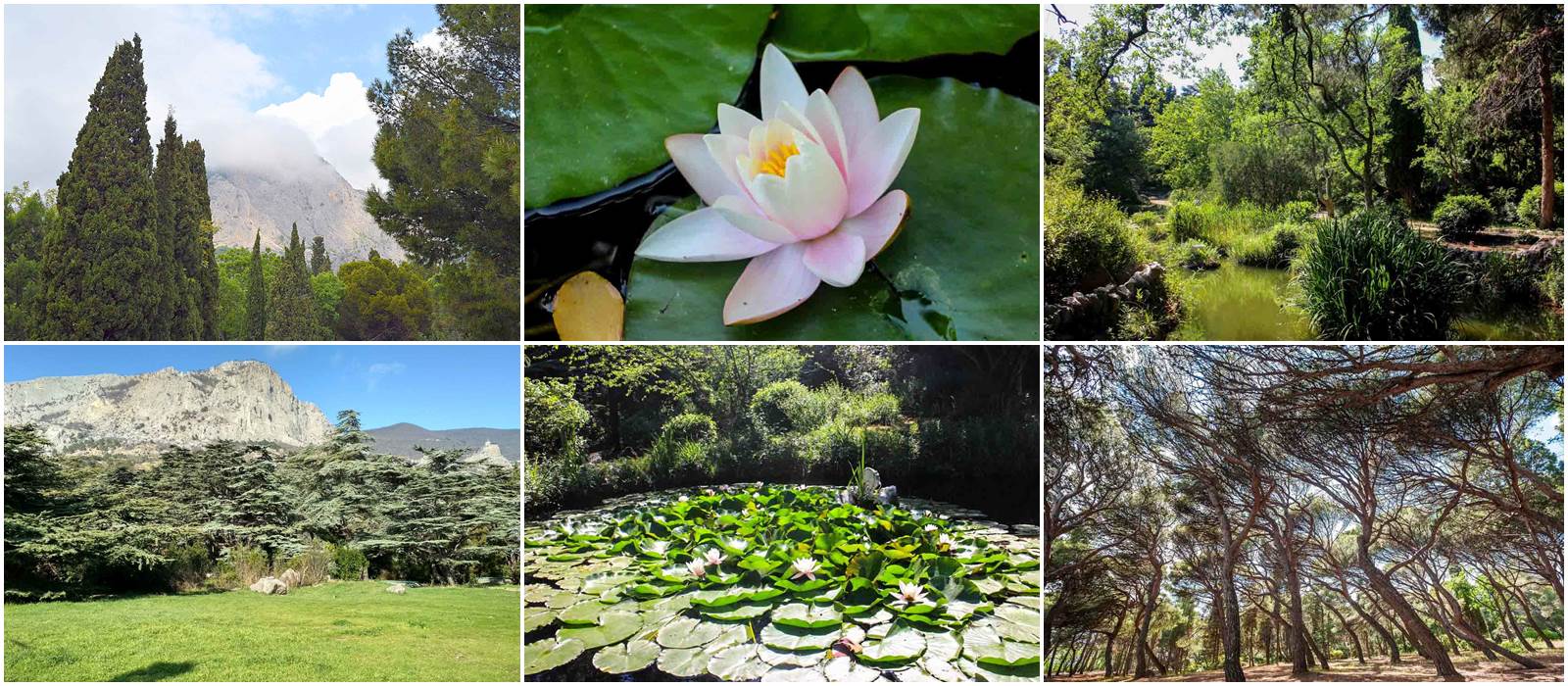 Форосский парк