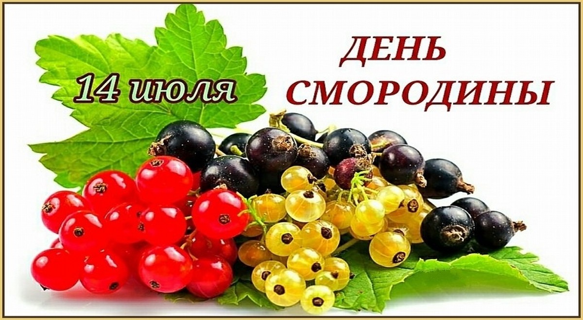 https://stihi.ru/pics/2023/07/14/5824.jpg