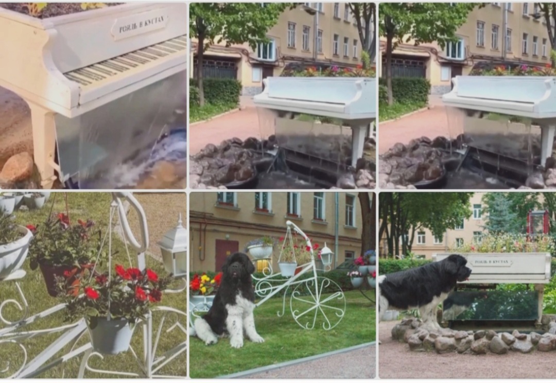 Рояль в кустах