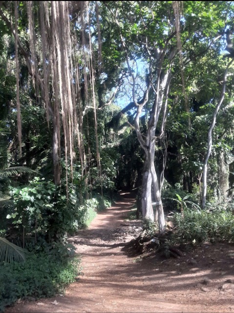 Солнечная чакра