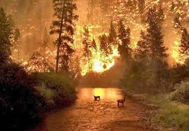 Растрёпанные мысли 54