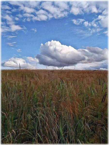 Мне бы только к облаку подняться...