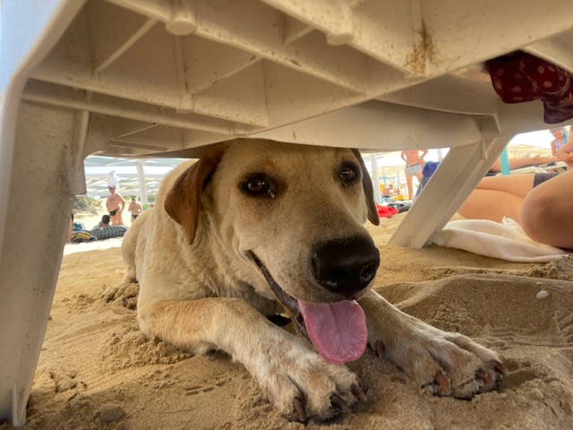 Берегите в себе человека