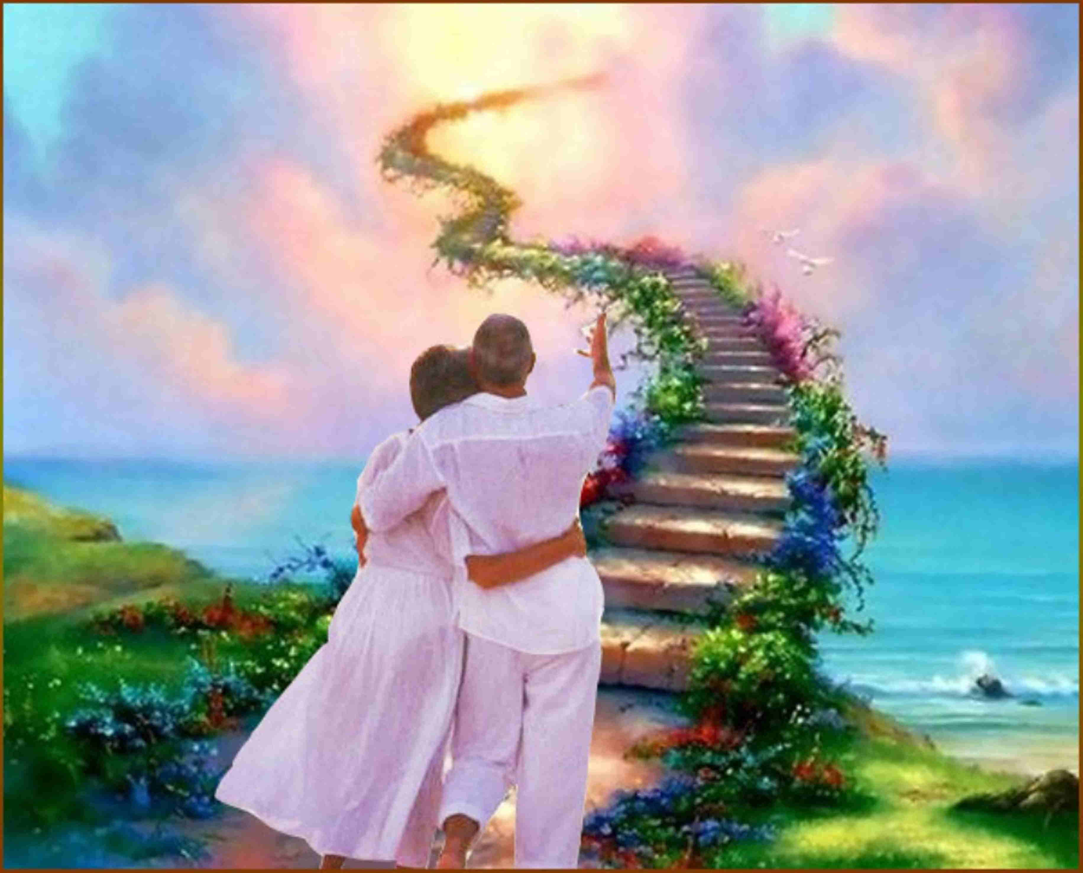 Цветы запоздалые