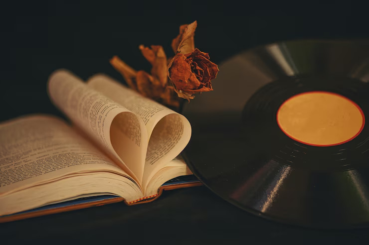 Романа книжные сердца