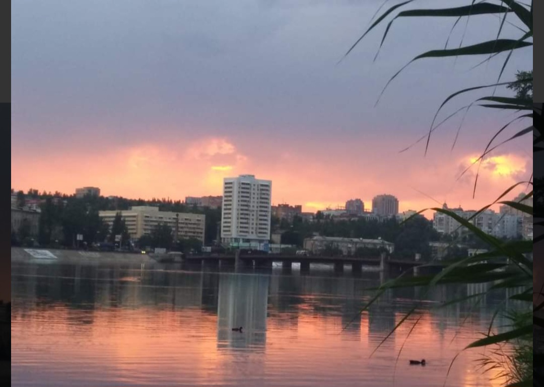 Цена реальности