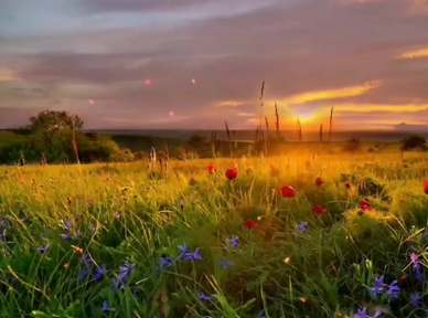 Перекрёстки. Текст песни