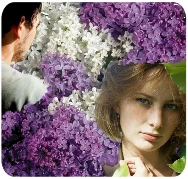 Повстречались вновь...