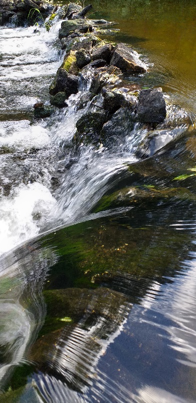Вода не ждёт