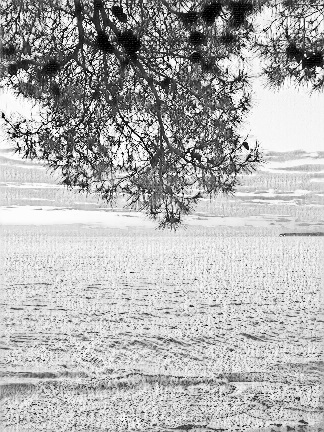 Моё янтарное счастье...