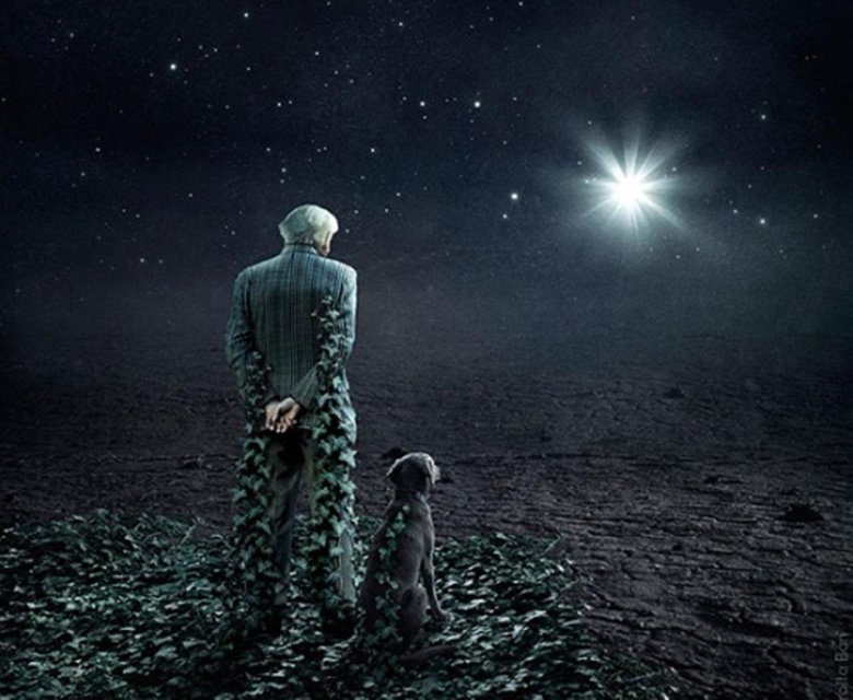 Я видел свет