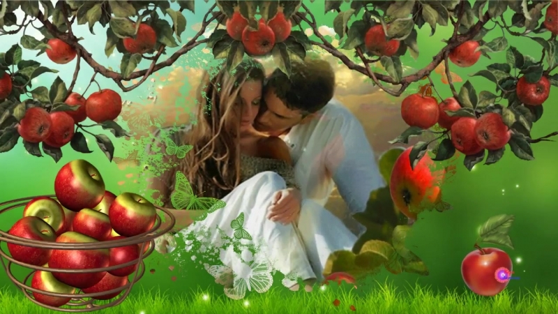 Picture background