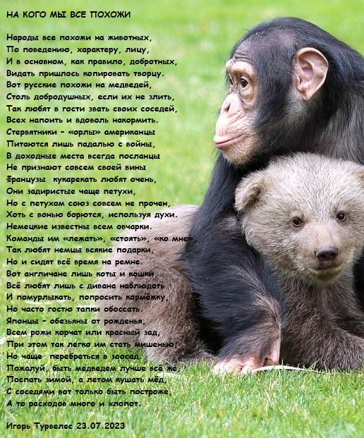 На кого мы все похожи