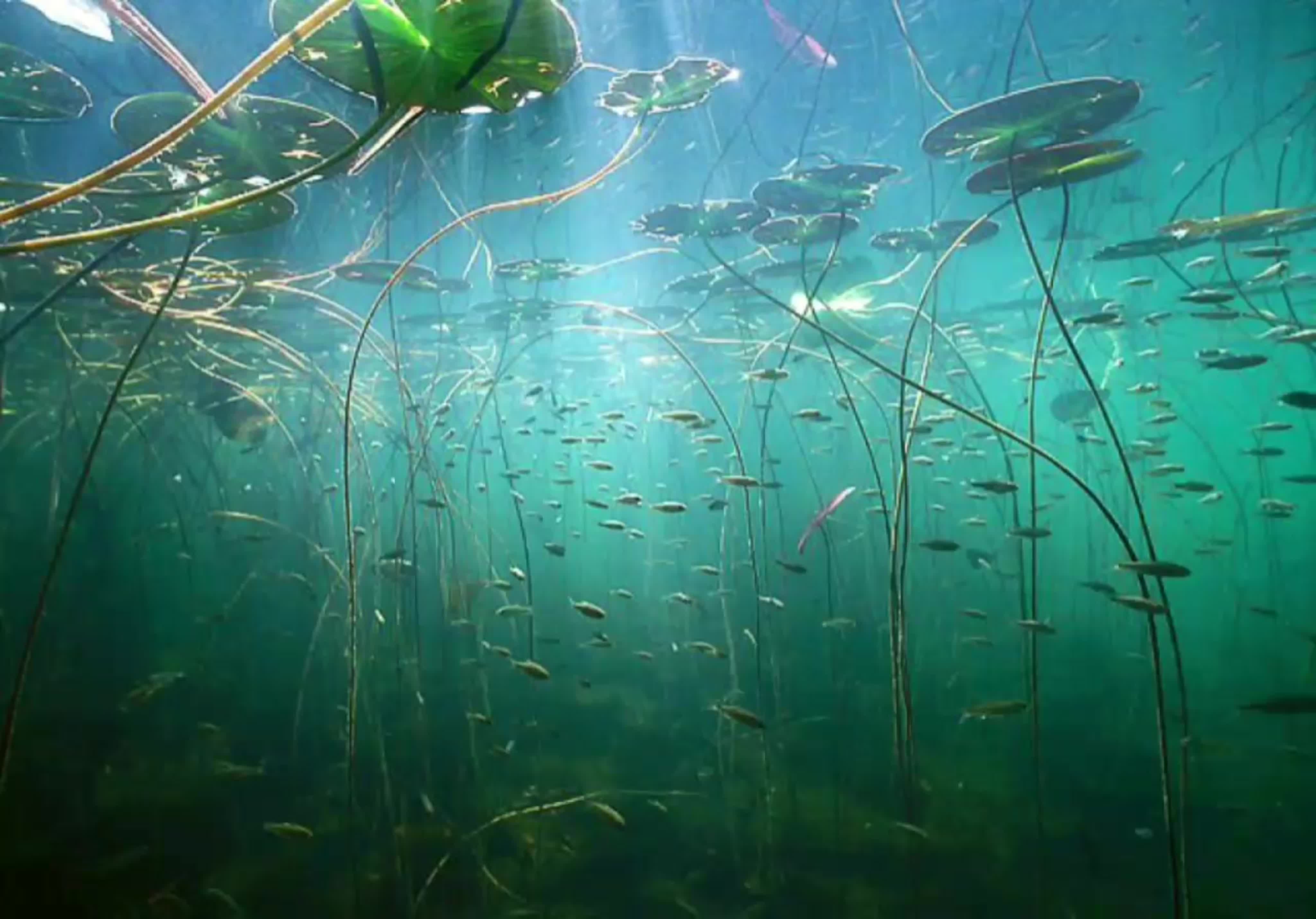 Две грани тишины