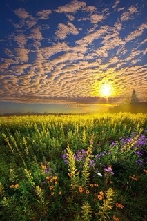 Что ищем мы?!