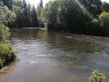 Речка Поливаниха