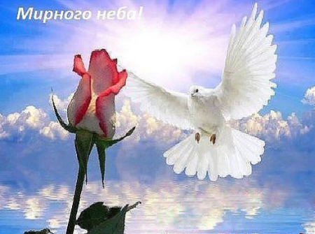 Сегодня так, завтра иначе