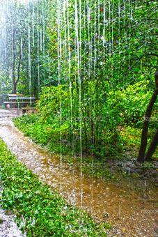 Ах, какой сегодня дождь, ах, какой... - триолет