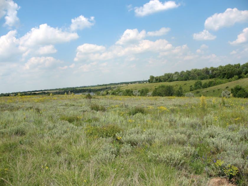 Степь азовская