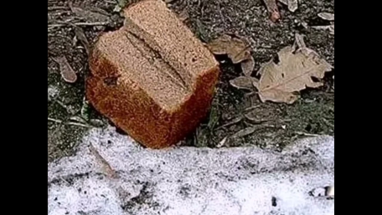 Кидать хлеб. Выброшенный хлеб. Хлеб на земле. Хлеб бросать. Брошенный на землю хлеб.