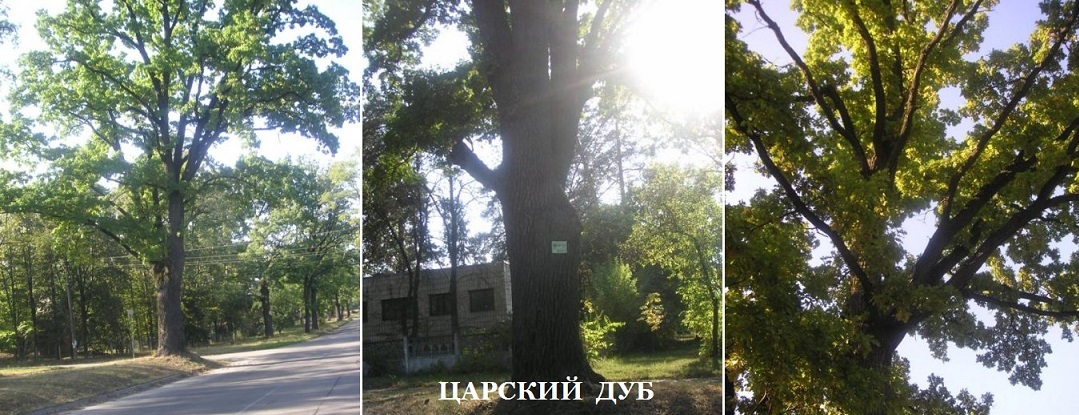 Русь и Фигурное катание. Вступление