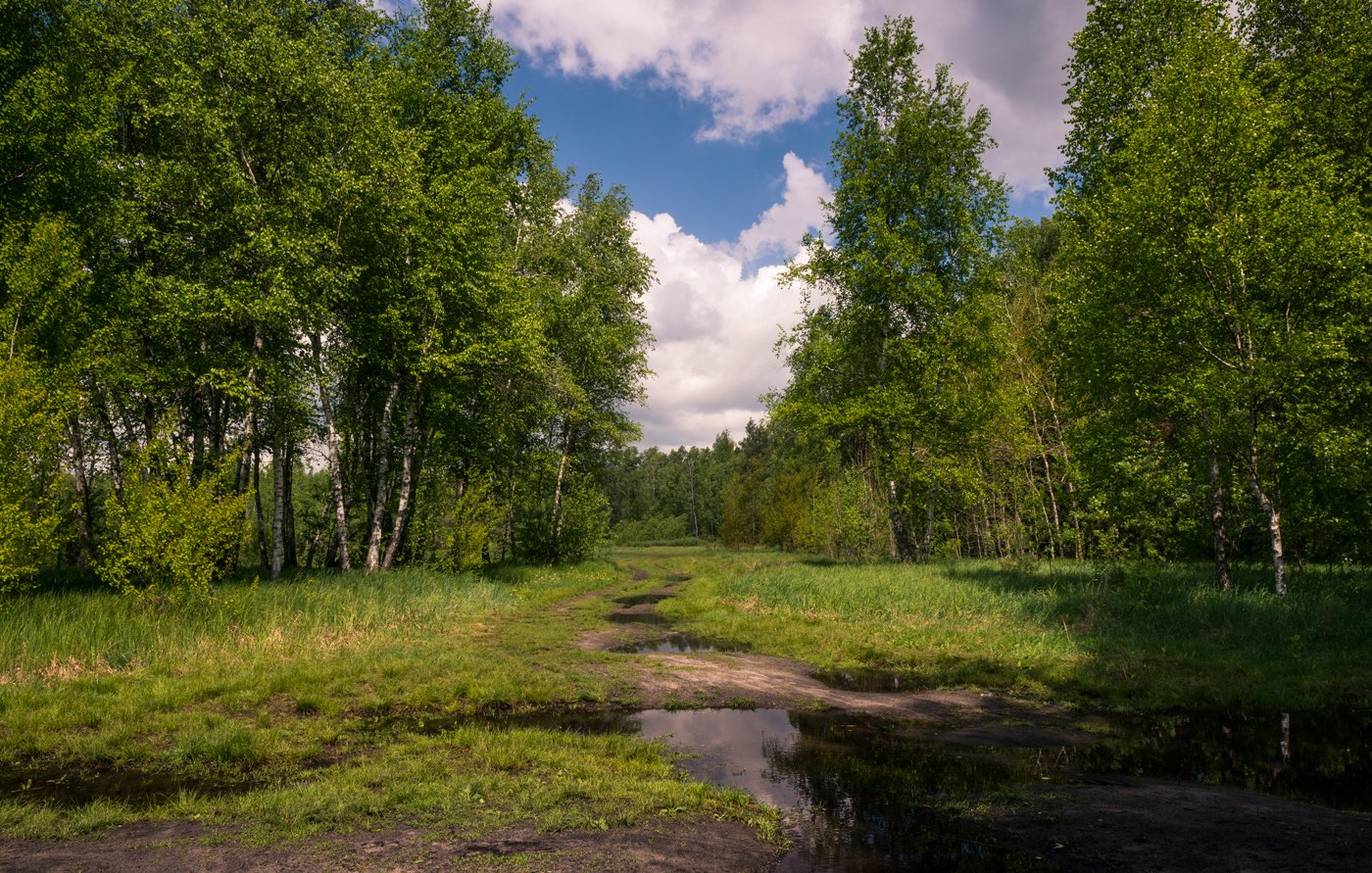 Июльское утро