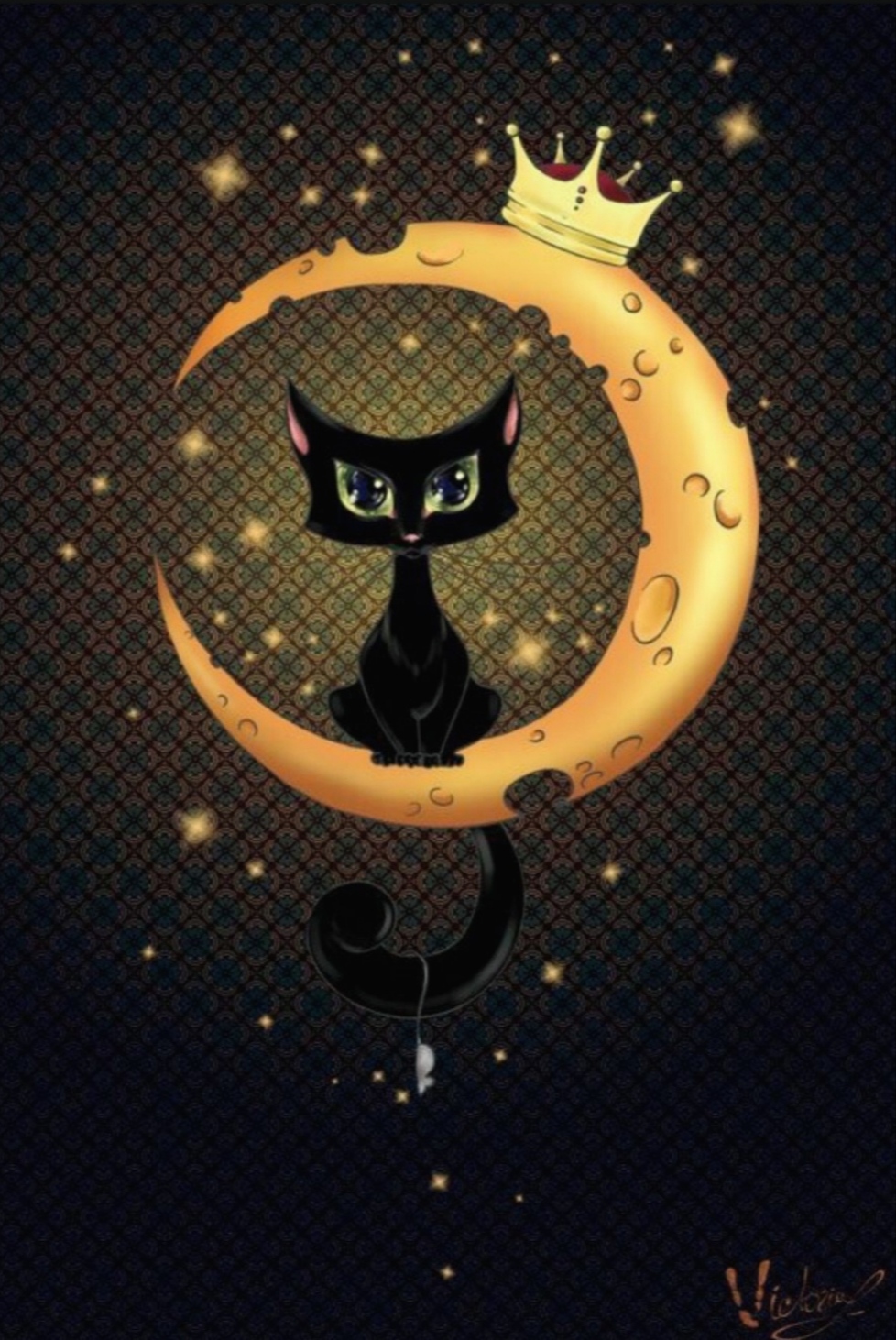 Аватар черный кот. Кошка Луна. Кот на Луне. "Лунный кот". Авы с котами.