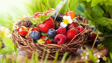 Ещё до прощанья с июлем есть день... - триолет