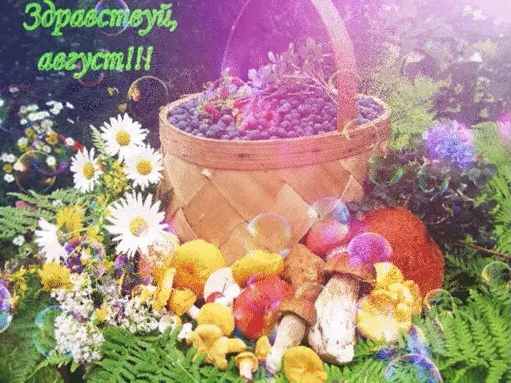 Июль картинка